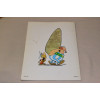 Asterix Jumaltenrannan nousu ja tuho (1.p)