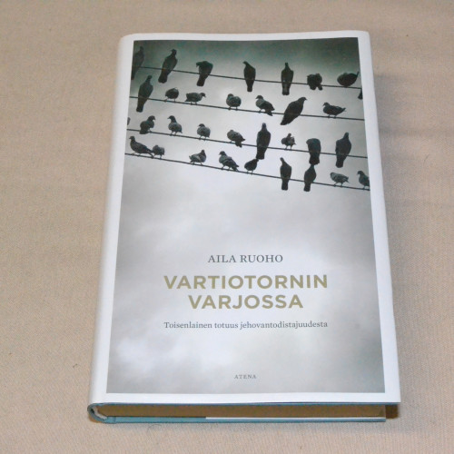 Aila Ruoho Vartiotornin varjossa